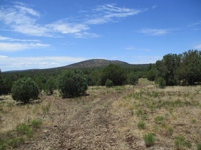 Horse Knoll