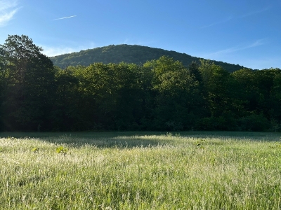 Owls Head Mountain