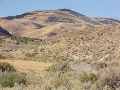 Badger Mountain