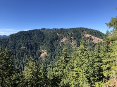 Middle Butte