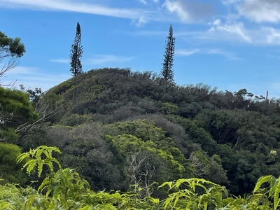 Wiliwilinui Ridge