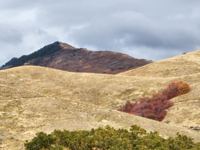 "Little Black Mountain"