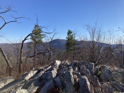 Pine Cobble