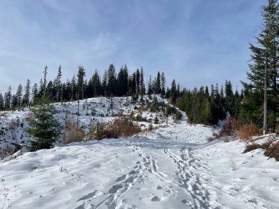 Snake Creek Ridge