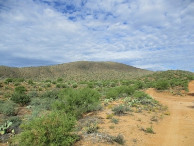 Bland Hill
