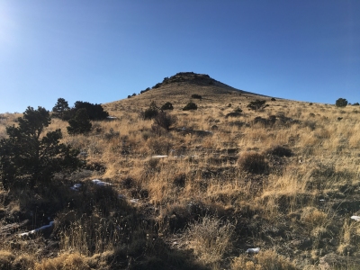 Pup Peak