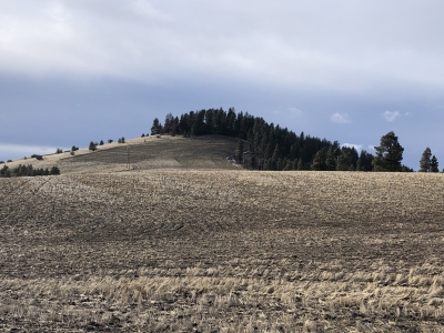 Randall Butte