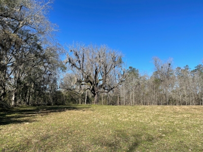 Jasper County HP