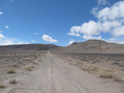 Springdale Mountain
