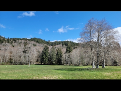 Grader Creek Hill