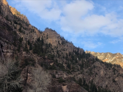 "Pooh Bear Rock"