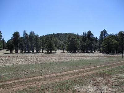 Walker Hill