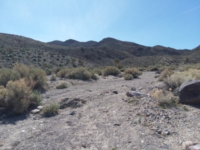 Pearsons Peak