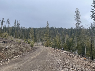 Orofino Creek Point