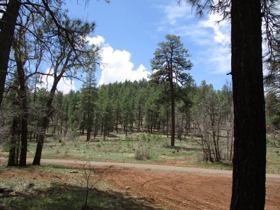 Hill One
