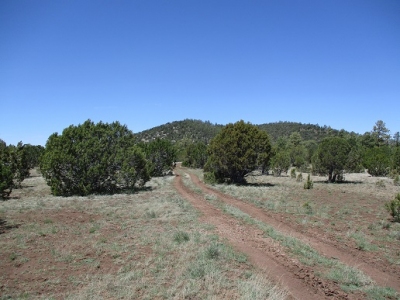 Horse Trap Hill