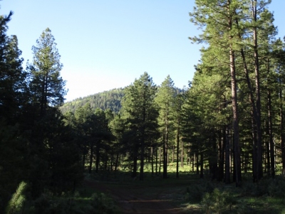 Cerro Gordo Mountain