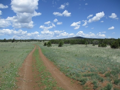 Jaycox Mountain