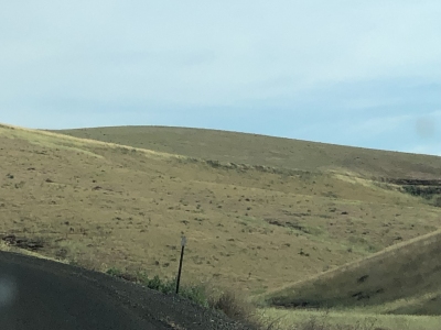 Rice Hill