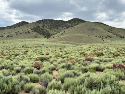 West Buttes, North