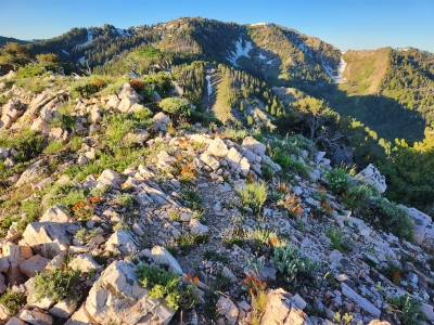 Sessions Mountains, West