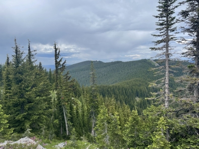 Cedar Mountain