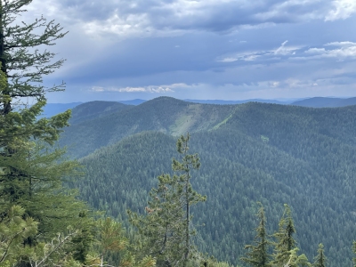 Flash Peak