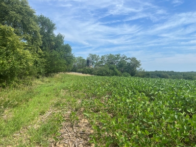 Indian Hill