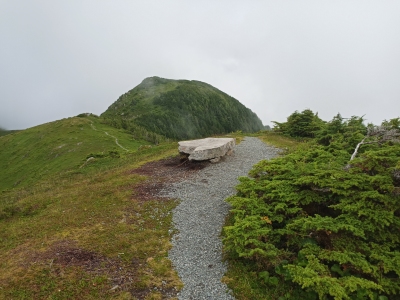 Gavan Hill