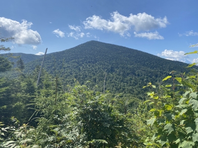 Spotted Mountain