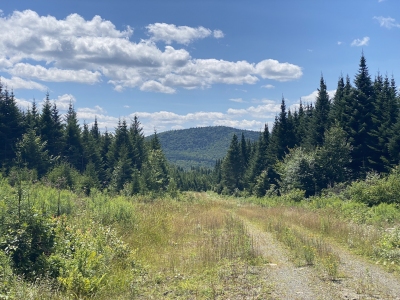 Ephraim Ridge