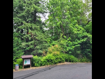 Sehome Hill
