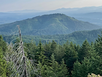Little Blacktail Mountain