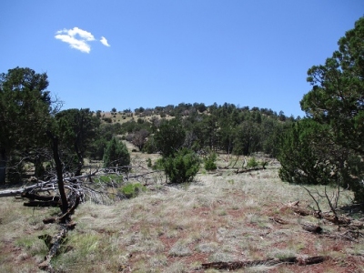 Laws Hill