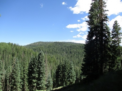 Diamond Butte