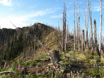 Graves Peak