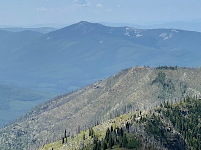 Henry, Mount