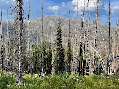 Marmot Mountain