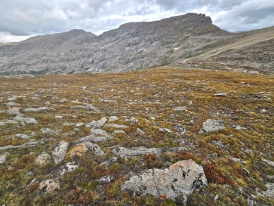 Milky Ridge, South