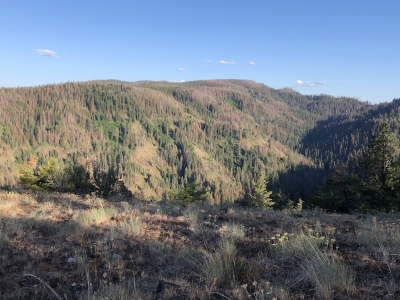 West Butte Ridge