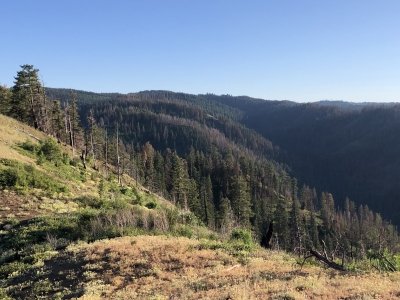 Green Ridge