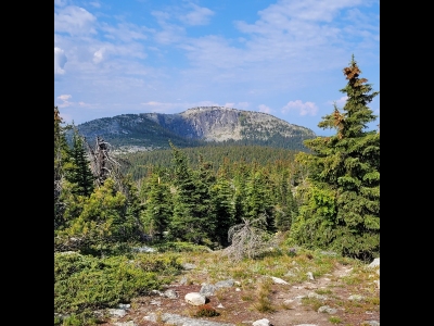 Little White Mountain