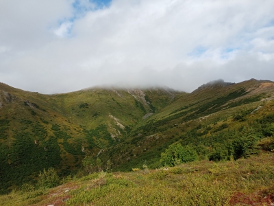 Healy, Mount