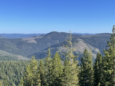 Collins Peak