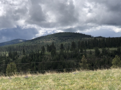 Little Butte