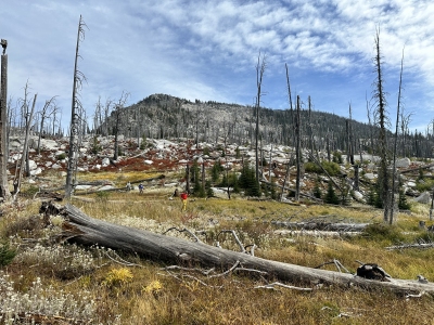 "Paintbrush Peak"