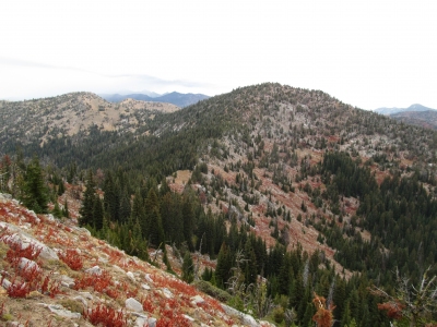 Crown Point
