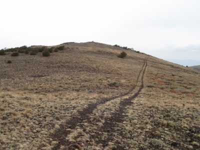 Ingle Mountain