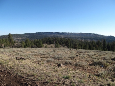 Wolf Mountain