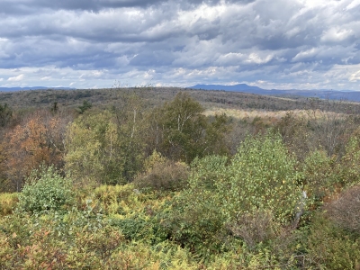 Tully Mountain